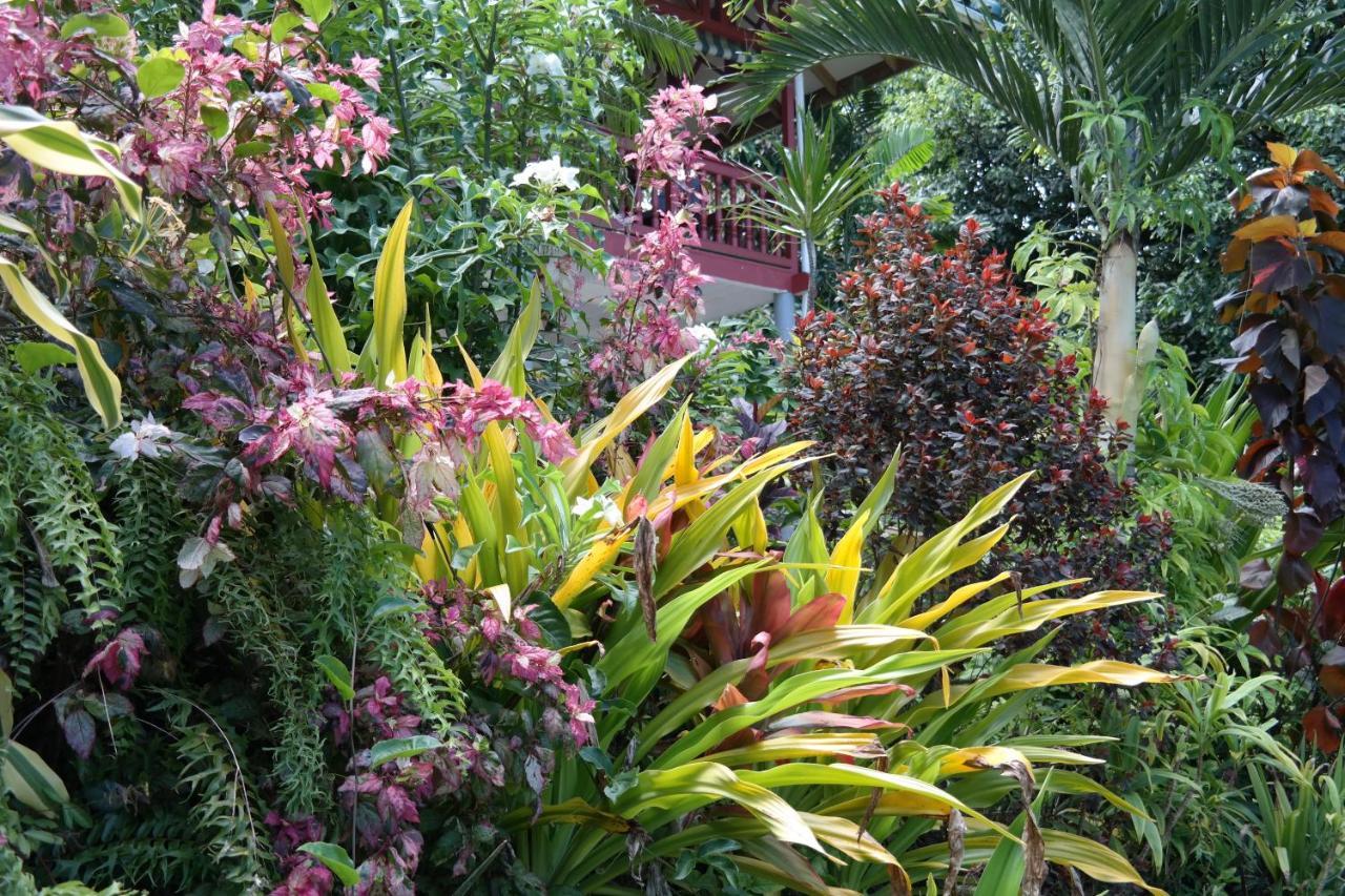 Muri Retreat Apartments Rarotonga Luaran gambar
