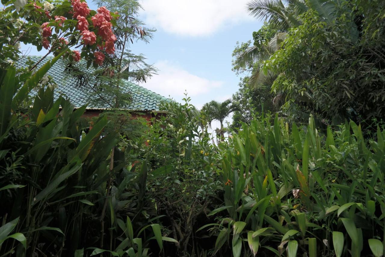 Muri Retreat Apartments Rarotonga Luaran gambar