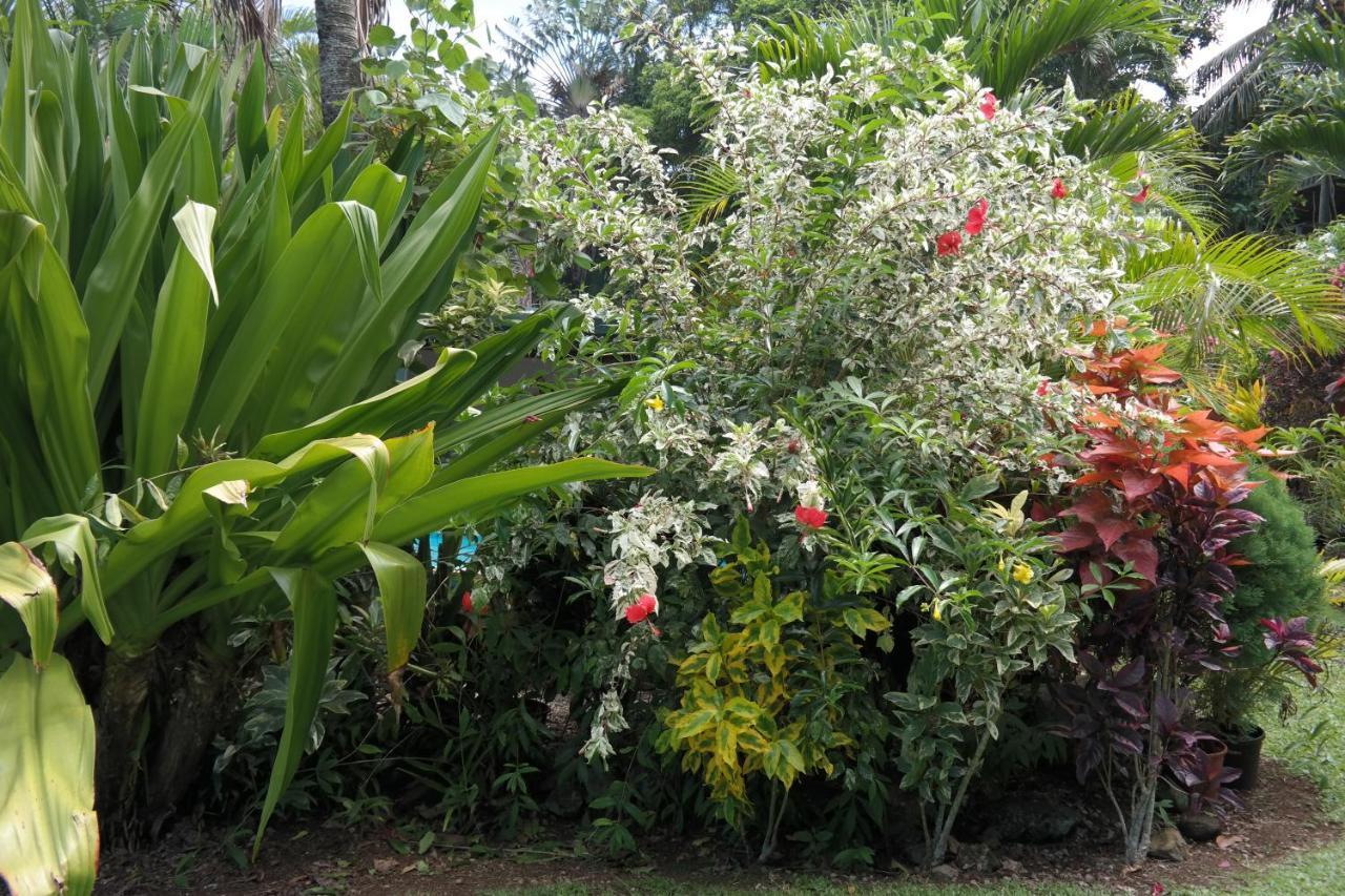 Muri Retreat Apartments Rarotonga Luaran gambar