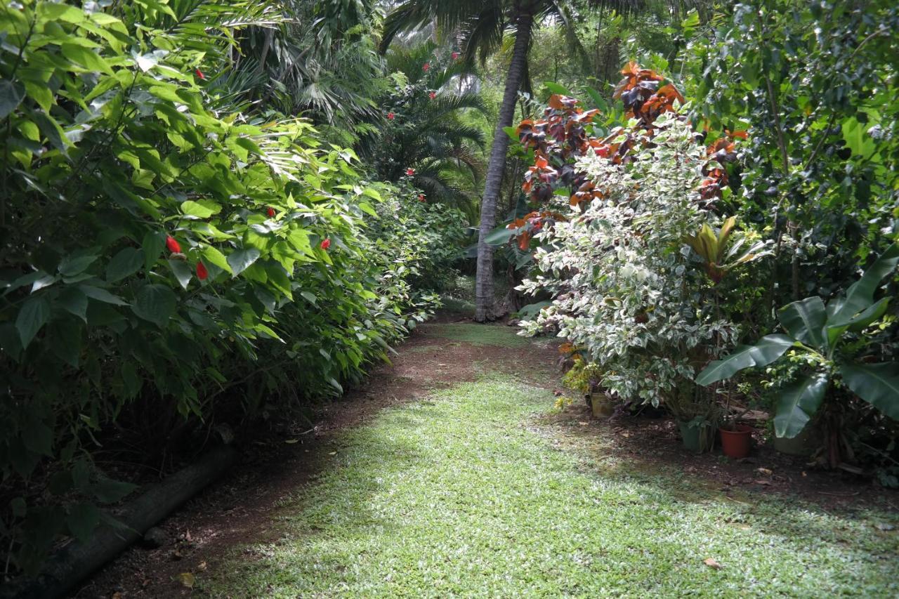 Muri Retreat Apartments Rarotonga Luaran gambar