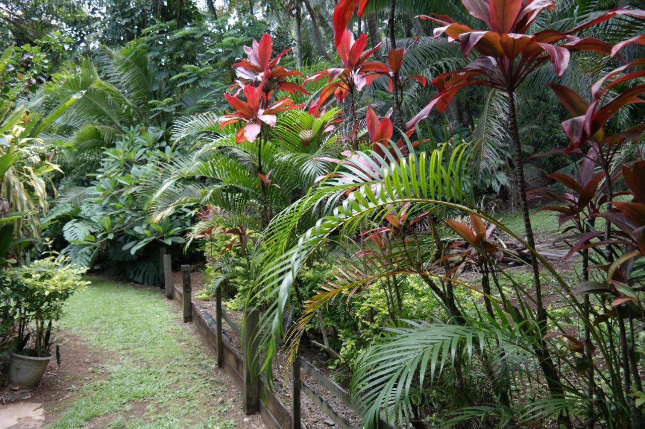 Muri Retreat Apartments Rarotonga Luaran gambar